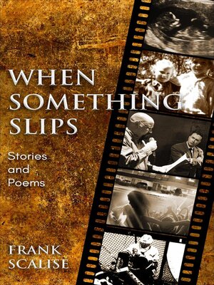 cover image of When Something Slips
